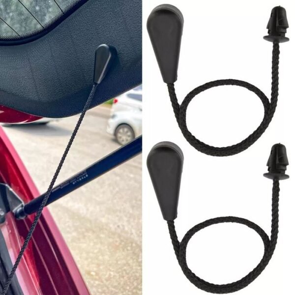 Conjunto Fios Suportes Chapeleira Renault Clio Megane Laguna - 2 peças