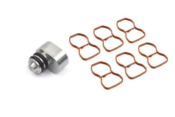 Kit Remoção Borboletas admissão BMW 2.5 3.0 3.5 4.0 Motores - N57 N57S